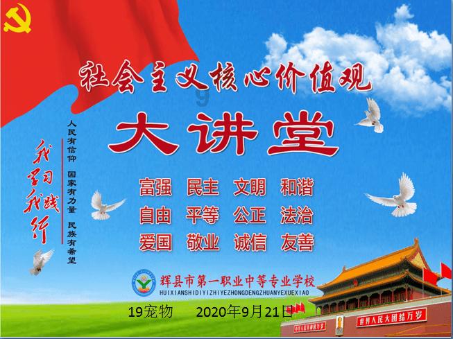 杭州一肿瘤晚期主人将猫咪托付给猫咖店，这是最好的方法吗？游戏画面
